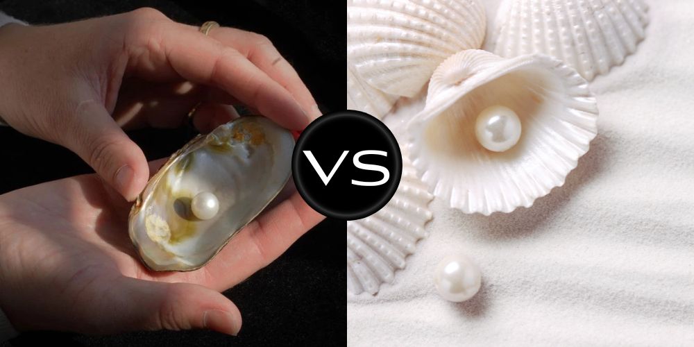 South Sea Pearl vs Freshwater Pearl – Which One Should You Choose?
