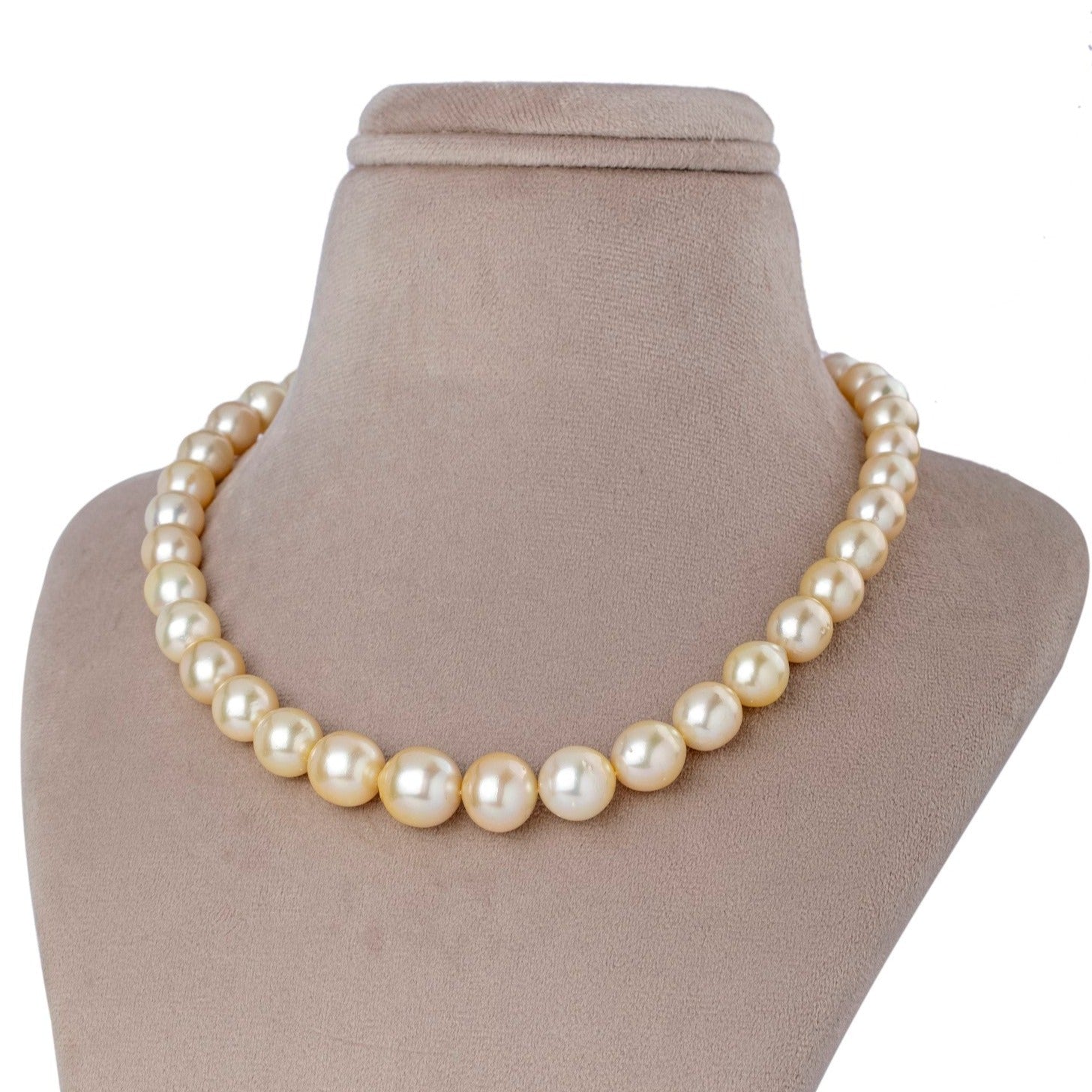 Lustrous Harmony South Sea Golden Pearl Necklace