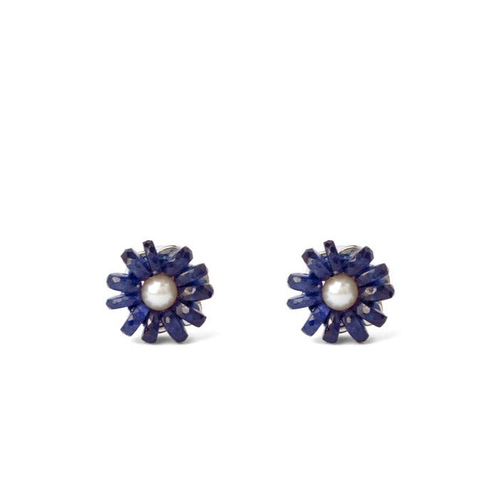 Harmonious blue gem Earrings