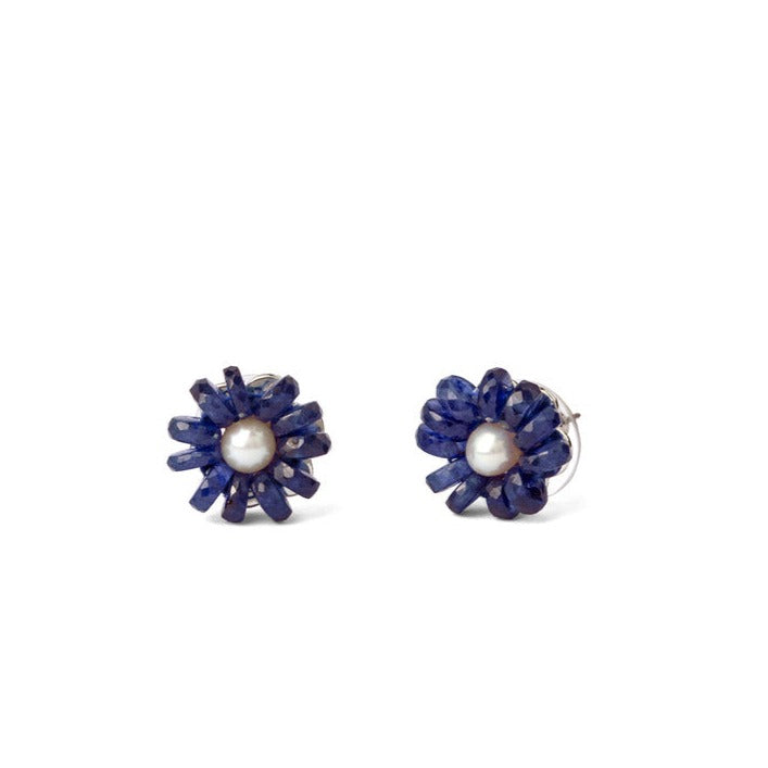 Harmonious blue gem Earrings